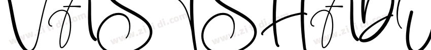 VASTSHADOW REGULAR字体转换